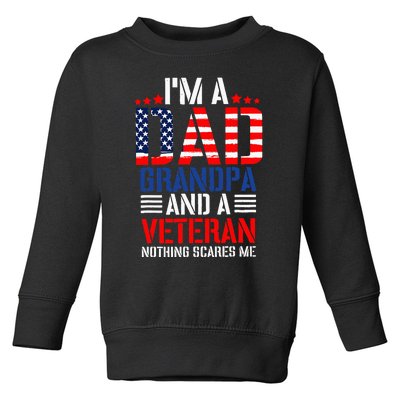 Funny Veteran Dad 4th Of July Independence Day Usd Flag Toddler Sweatshirt