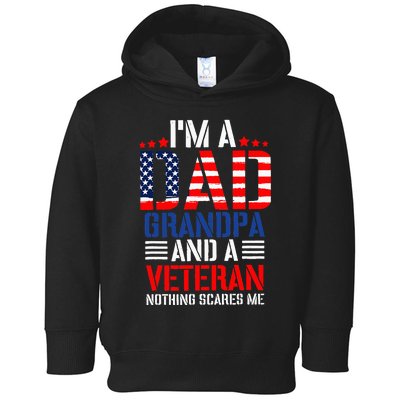 Funny Veteran Dad 4th Of July Independence Day Usd Flag Toddler Hoodie