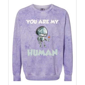 Funny Valentine's Day Gift For Her Or Him Colorblast Crewneck Sweatshirt