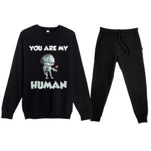 Funny Valentine's Day Gift For Her Or Him Premium Crewneck Sweatsuit Set