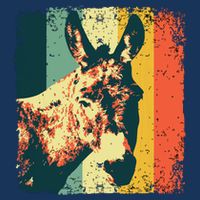 Funny Vintage Donkey Design For Safari Mule Equine Button