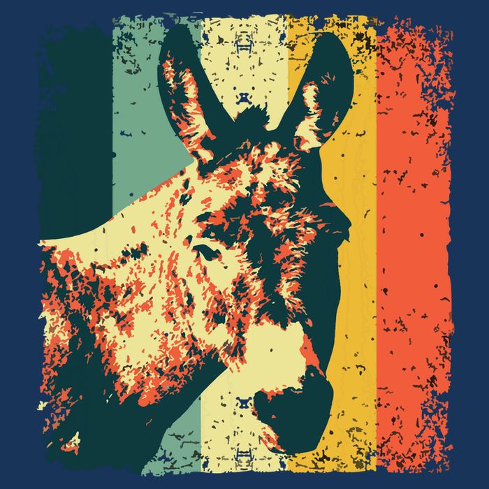 Funny Vintage Donkey Design For Safari Mule Equine Button