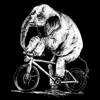 Funny Vintage Elephant On Bike Bicycle Button