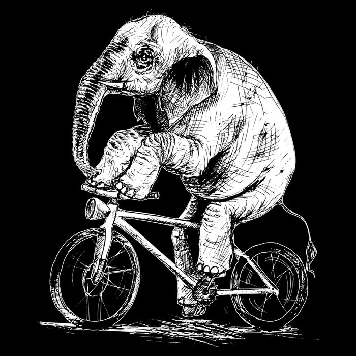 Funny Vintage Elephant On Bike Bicycle Button