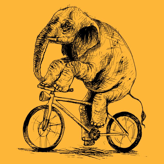 Funny Vintage Elephant On Bike Bicycle Trucker Hat