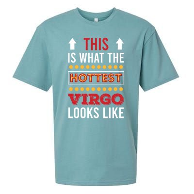 Funny Virgo Facts Saying Astrology Horoscope Birthday Gift Sueded Cloud Jersey T-Shirt