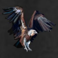 Flying Vulture Cool Comfort Performance Bucket Hat