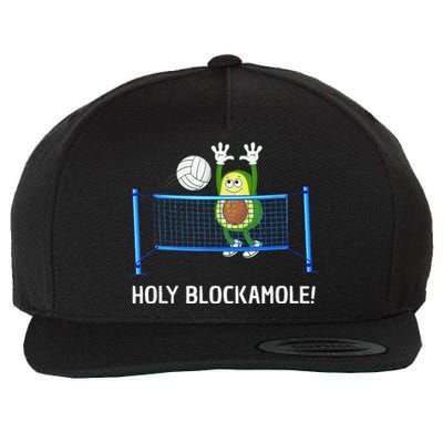 Funny Volleyball For  Setter Libero Play Volleyball Wool Snapback Cap