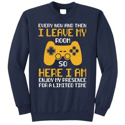 Funny Video Games Every Now And Then I Leave My Room Gaming Sweatshirt