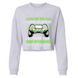 Funny Video Games Every Now And Then I Leave My Room Cropped Pullover Crew