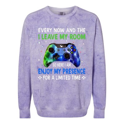 Funny Video Games Every Now And Then I Leave My Room Colorblast Crewneck Sweatshirt