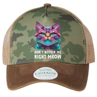 Funny Video Gamer And Cat Lover DonT Bother Me Right Meow Gift Legacy Tie Dye Trucker Hat