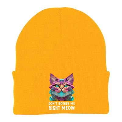 Funny Video Gamer And Cat Lover DonT Bother Me Right Meow Gift Knit Cap Winter Beanie