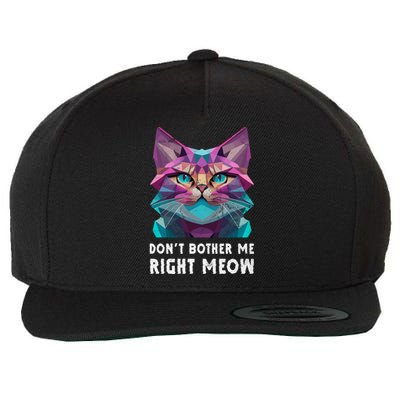 Funny Video Gamer And Cat Lover DonT Bother Me Right Meow Gift Wool Snapback Cap