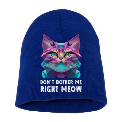 Funny Video Gamer And Cat Lover DonT Bother Me Right Meow Gift Short Acrylic Beanie