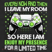 Funny Video Games Every Now And Then I Leave My Room Gaming  7 Panel Mesh Trucker Snapback Hat