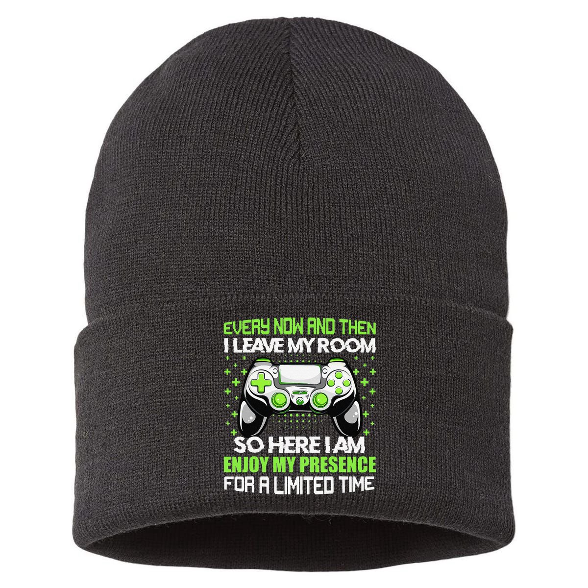 Funny Video Games Every Now And Then I Leave My Room Gaming  Sustainable Knit Beanie