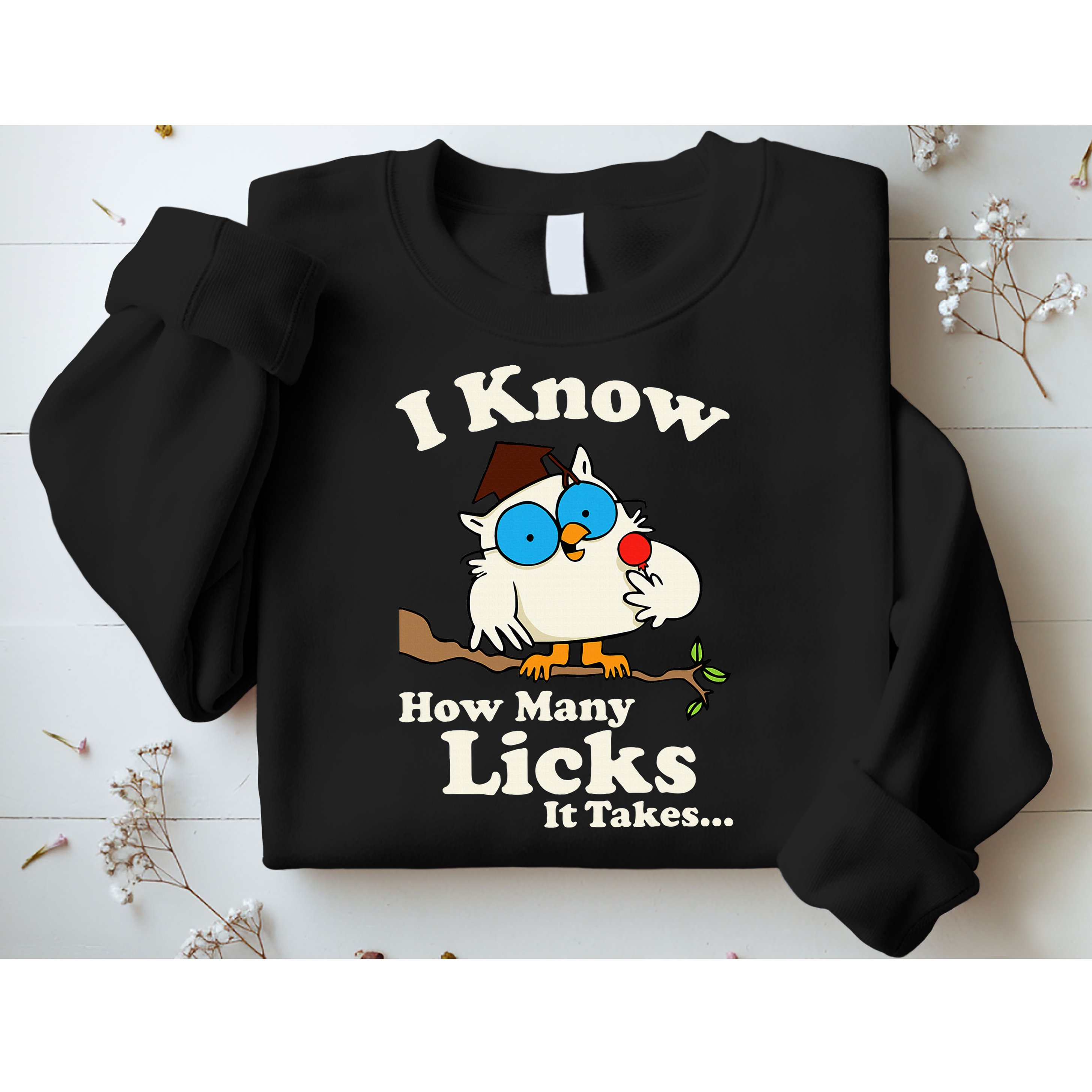 Funny Vintage I Know How Many Licks It Takes Sweatshirt