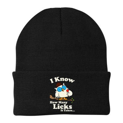 Funny Vintage I Know How Many Licks It Takes Beanie