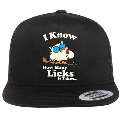Funny Vintage I Know How Many Licks It Takes Flatbill Hat