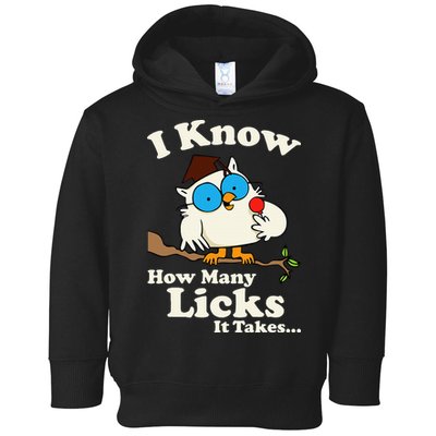Funny Vintage I Know How Many Licks It Takes Toddler Hoodie