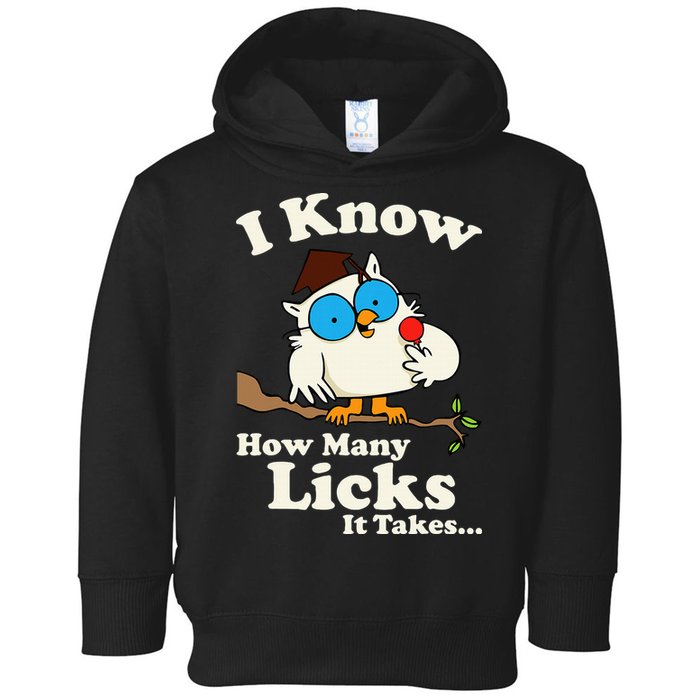 Funny Vintage I Know How Many Licks It Takes Toddler Hoodie