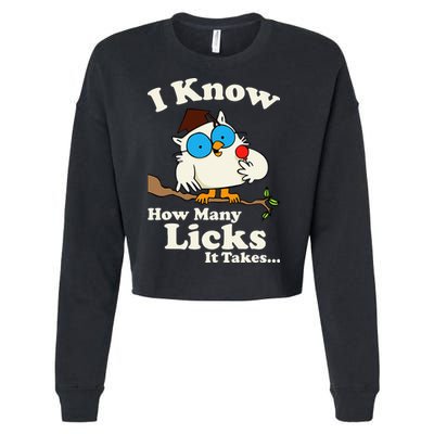 Funny Vintage I Know How Many Licks It Takes Cropped Pullover Crew