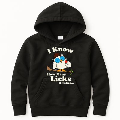 Funny Vintage I Know How Many Licks It Takes Kids Hoodie