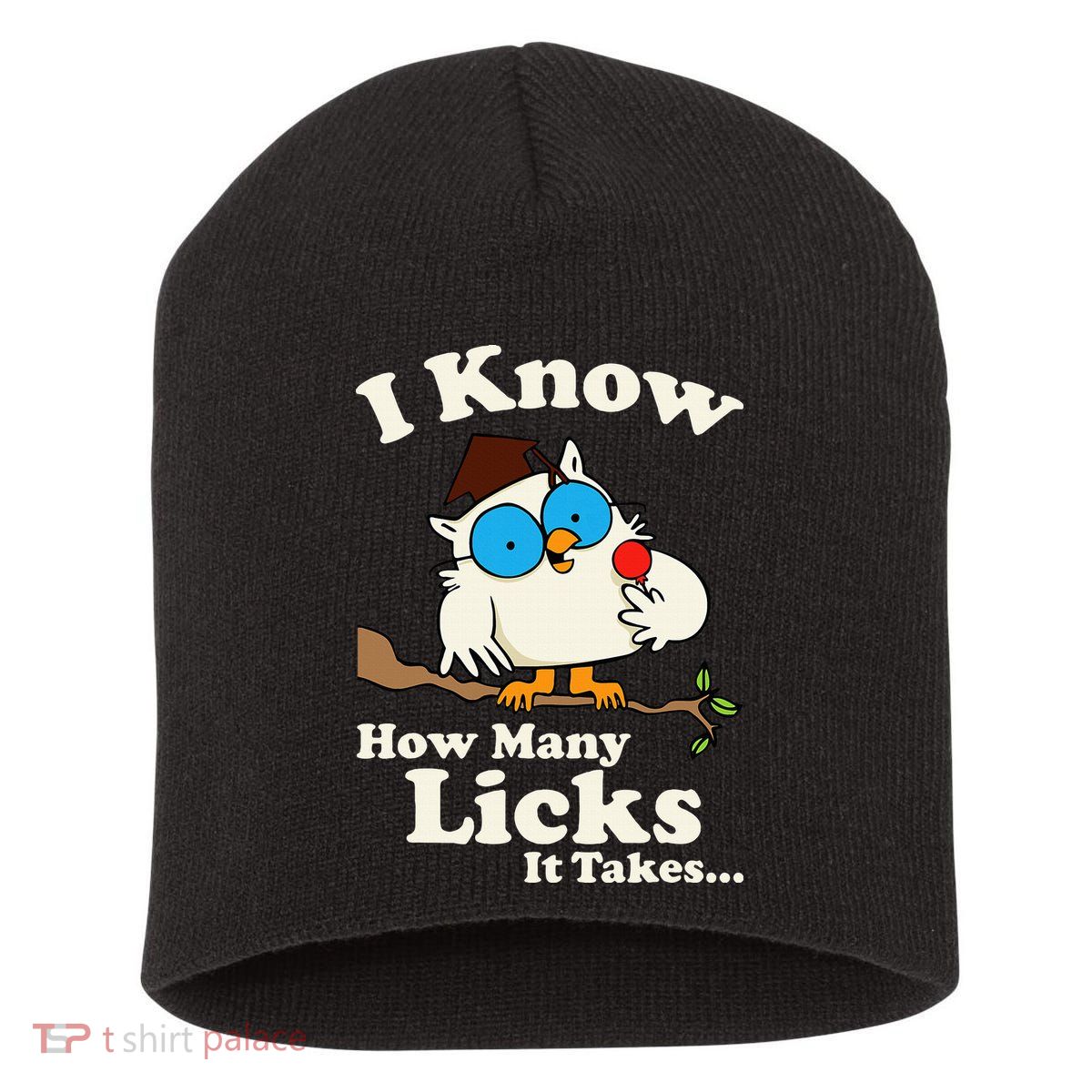 Funny Vintage I Know How Many Licks It Takes Short Acrylic Beanie