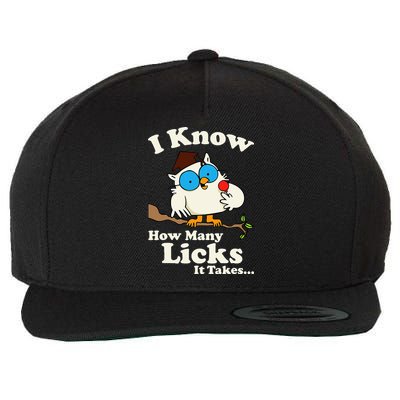 Funny Vintage I Know How Many Licks It Takes Wool Snapback Cap