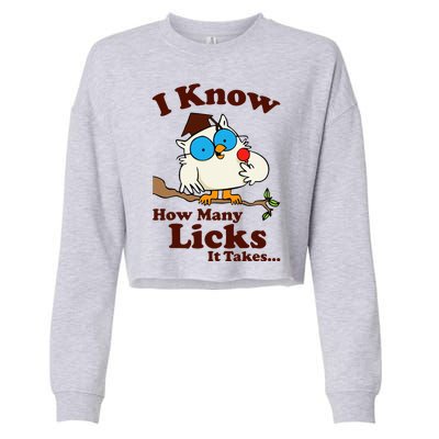 Funny Vintage I Know How Many Licks It Takes Cropped Pullover Crew