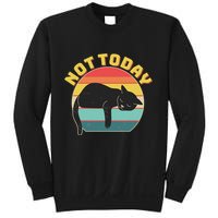 Funny Vintage Lazy Sleepy Not Today Cat Sweatshirt