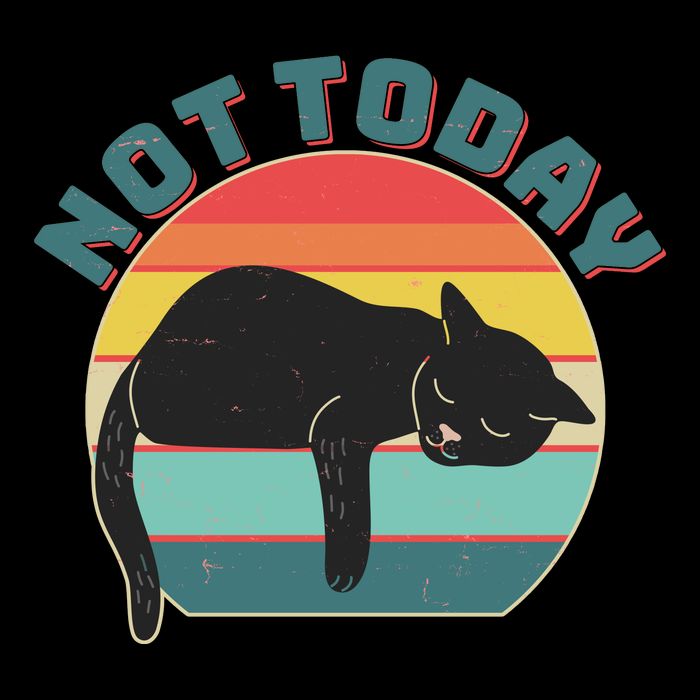 Funny Vintage Lazy Sleepy Not Today Cat Mug