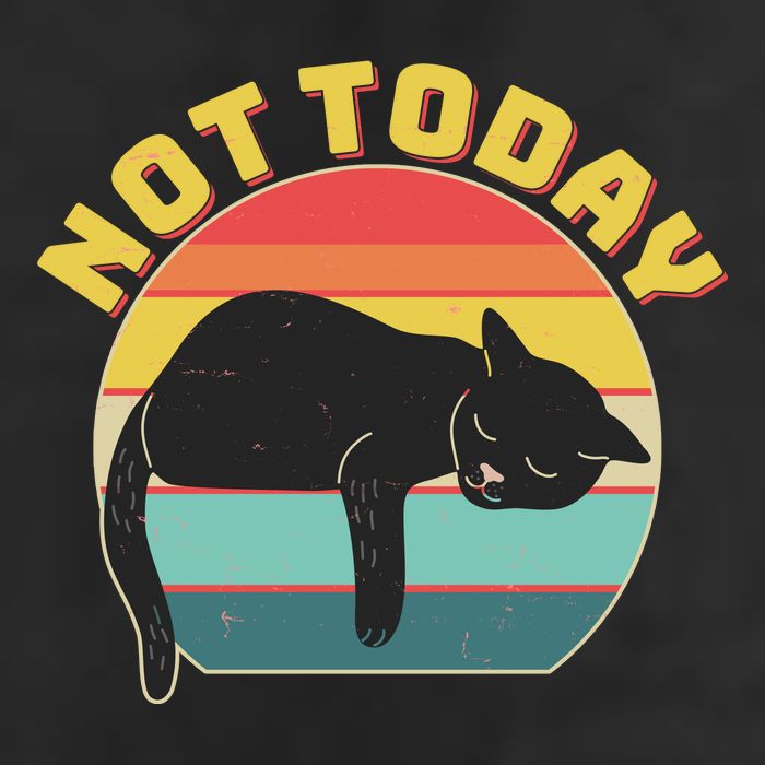 Funny Vintage Lazy Sleepy Not Today Cat Beanie