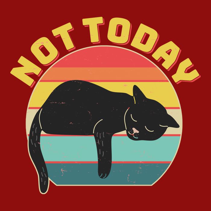 Funny Vintage Lazy Sleepy Not Today Cat Long Sleeve Shirt