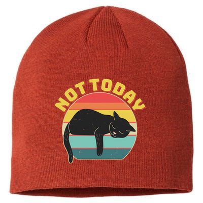 Funny Vintage Lazy Sleepy Not Today Cat Sustainable Beanie
