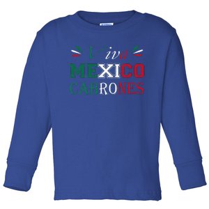 Funny Viva Mexico Cabrones Mexico Independence Flag Pride Toddler Long Sleeve Shirt