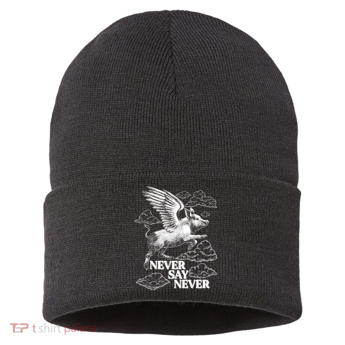 Funny Vintage Never Say Never When Pigs Fly Sustainable Knit Beanie