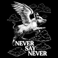 Funny Vintage Never Say Never When Pigs Fly Baby Bodysuit