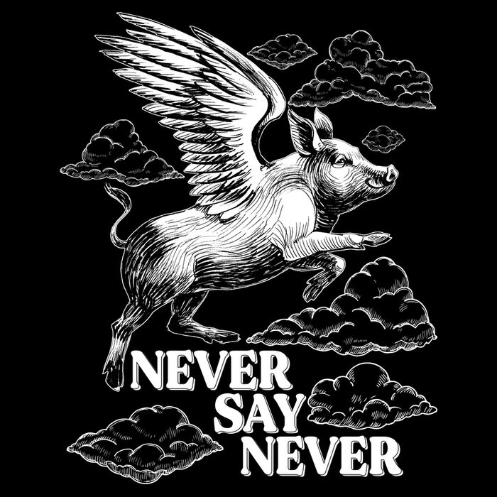 Funny Vintage Never Say Never When Pigs Fly Baby Bodysuit