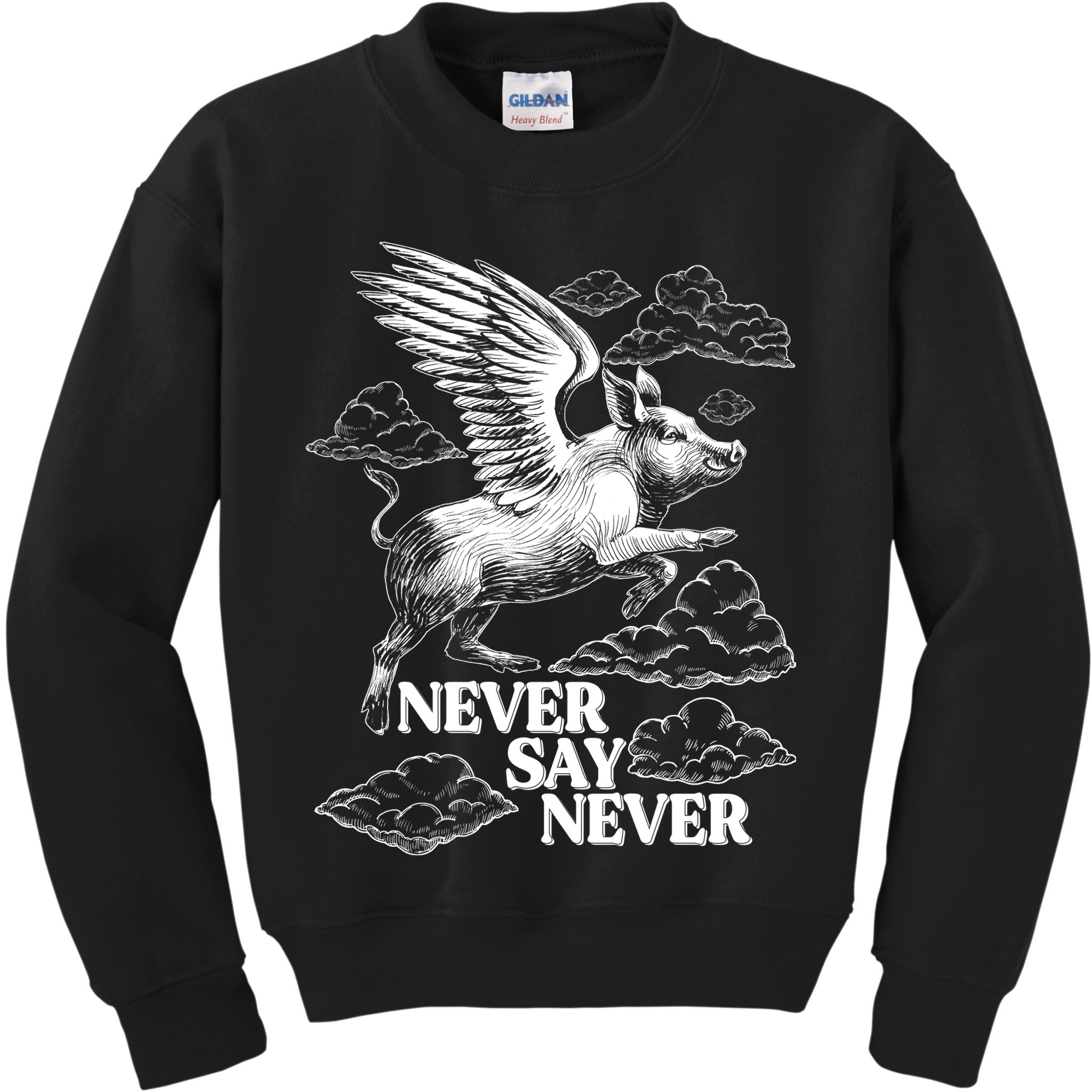 Funny Vintage Never Say Never When Pigs Fly Kids Sweatshirt