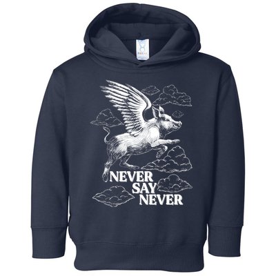 Funny Vintage Never Say Never When Pigs Fly Toddler Hoodie