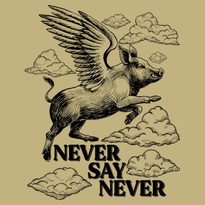 Funny Vintage Never Say Never When Pigs Fly T-Shirt
