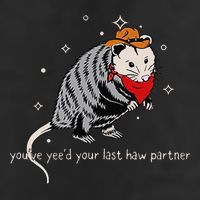 Funny Vintage Opossum Cowboy Hat Western Possum Lover Beanie