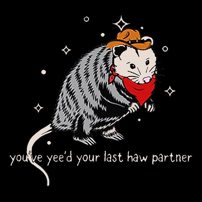 Funny Vintage Opossum Cowboy Hat Western Possum Lover Bag