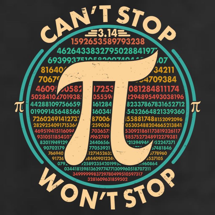 Funny Vintage Pi 3.14 Can't Stop Won't Stop 7 Panel Mesh Trucker Snapback Hat