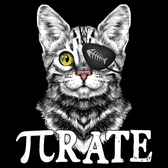 Funny Vintage Pi Day 314 PiRate Pirate Cat Drawstring Bag