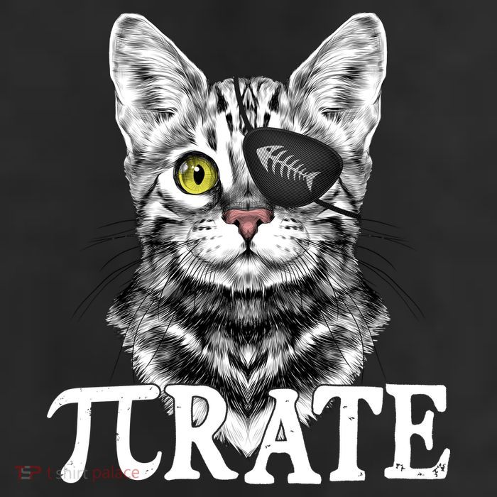 Funny Vintage Pi Day 314 PiRate Pirate Cat Trucker Hat