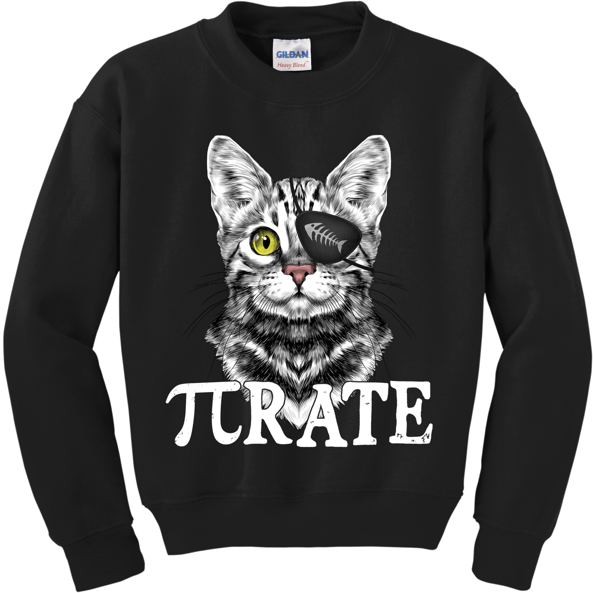 Funny Vintage Pi Day 314 PiRate Pirate Cat Kids Sweatshirt