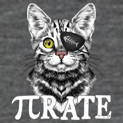 Funny Vintage Pi Day 314 PiRate Pirate Cat T-Shirt